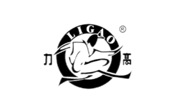 力高LIGAO