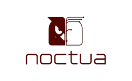 貓頭鷹Noctua