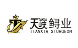 天峽TIANXIA