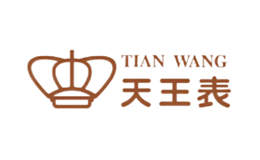 TIANWANG天王表