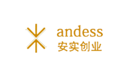 安實(shí)創(chuàng)業(yè)Andess