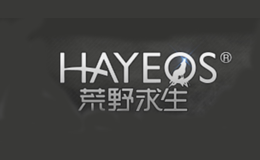 荒野求生HAYEQS