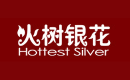 火樹銀花hottestsilver