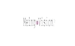 meingvision