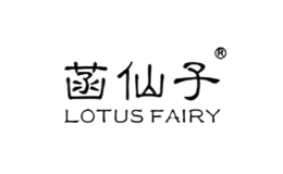 菡仙子LOTUS FAIRY